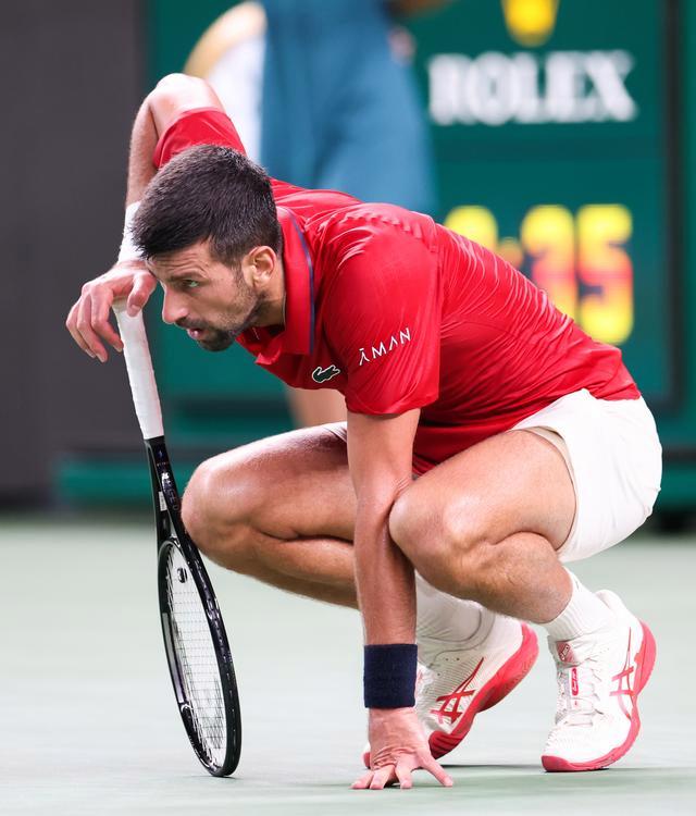 ATP总决赛完胜澳网，德约科维奇点燃赛场