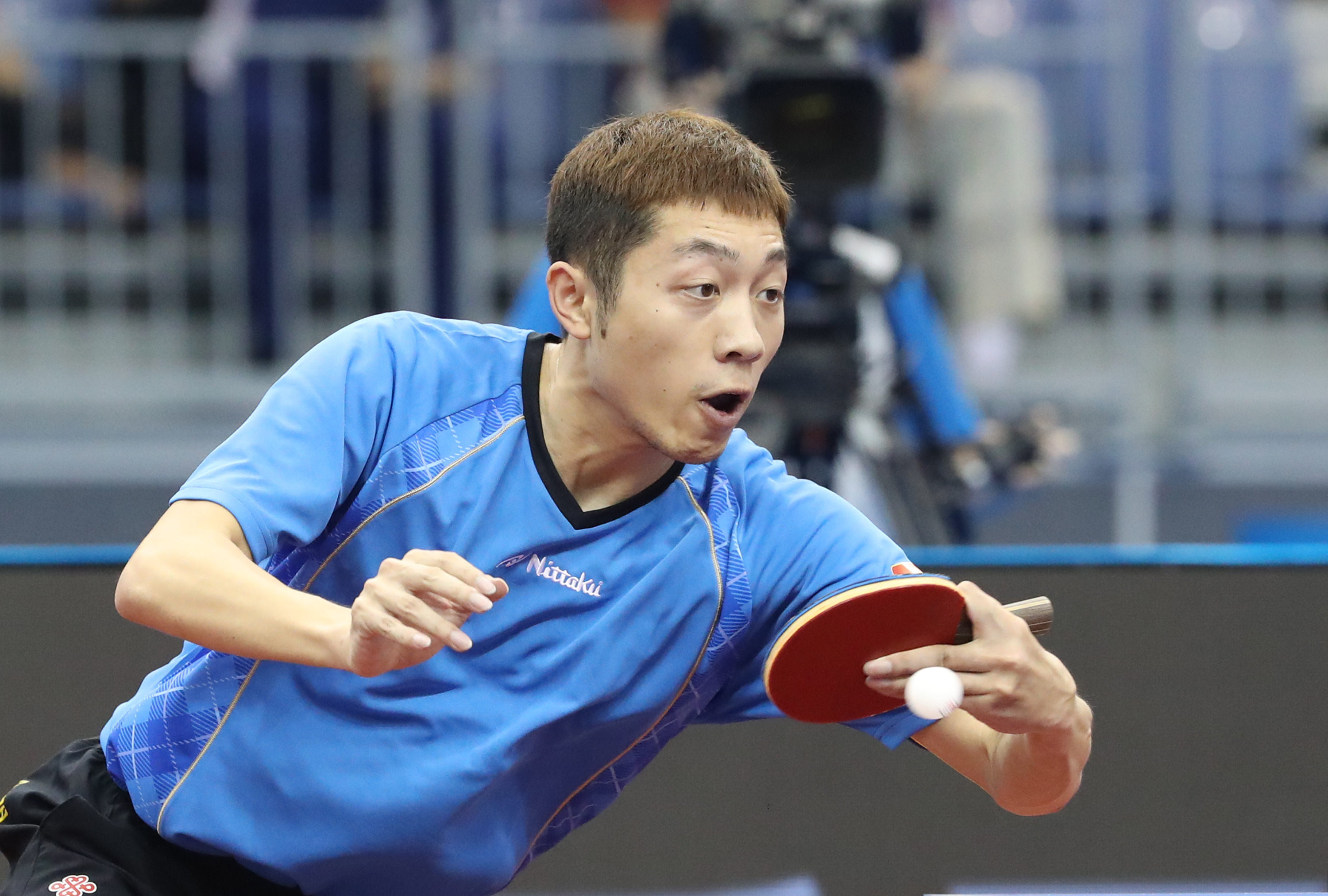 包含法国乒乓球队血洗瑞典乒乓球队,张继科绝境逆转的词条 包含法国乒乓球队血洗瑞典乒乓球队,张继科绝境逆转的词条